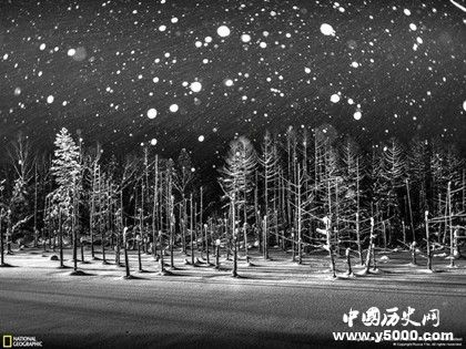 2018國家地理攝影大賽獲獎排名國家地理攝影大賽簡介 2018國家地理攝影大賽獲獎排名國家地理攝影大賽簡介