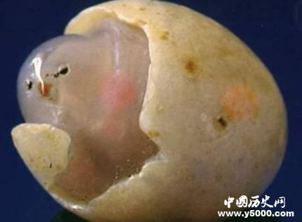 中國四大奇石簡介中國四大奇石是哪四種？