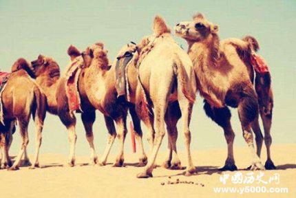 af01c4cdf7581e90a0692ed7da862f96.jpg af01c4cdf7581e90a0692ed7da862f96.jpg