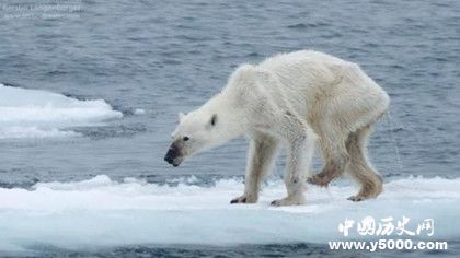 全球氣候變暖的原因是什么 全球變暖的影響有哪些 全球氣候變暖的原因是什么 全球變暖的影響有哪些