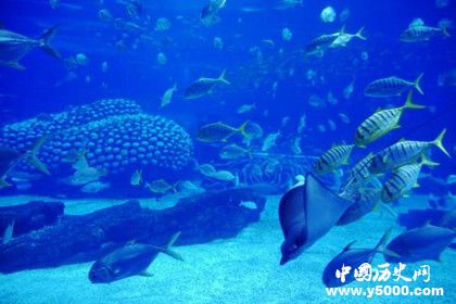 地球上的水是怎么來的 水循環(huán)的過程講解 地球上的水是怎么來的 水循環(huán)的過程講解