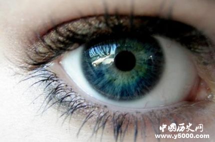 世界青光眼日簡介世界青光眼日主題是什么？