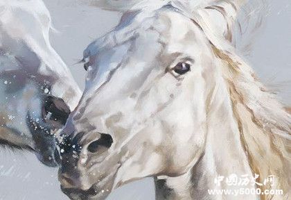 屬馬的人2019年運勢怎么樣屬馬的幸運物是什么