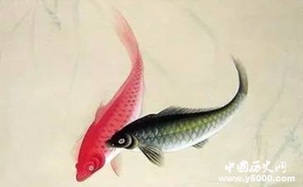 雙鯉的寓意和象征有關(guān)雙鯉的詩(shī)詞有哪些？