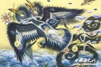 比翼鳥簡介比翼鳥的寓意比翼鳥到底是什么鳥？