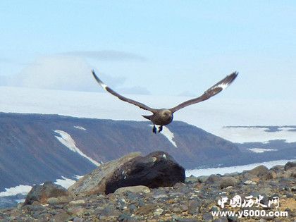 bf253f11adfcb68e5162a1a03d5e26ce.jpg bf253f11adfcb68e5162a1a03d5e26ce.jpg