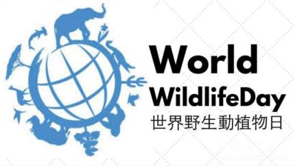 世界野生動(dòng)植物日簡(jiǎn)介世界野生動(dòng)植物日主題活動(dòng)有哪些？