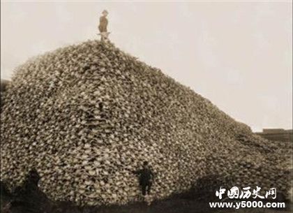 老鼠烏托邦實驗是什么老鼠烏托邦實驗過程實驗結(jié)果