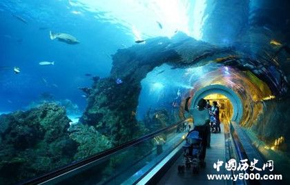 英法海底隧道簡介建設(shè)過程介紹英法海底隧道有哪些作用 英法海底隧道簡介建設(shè)過程介紹英法海底隧道有哪些作用