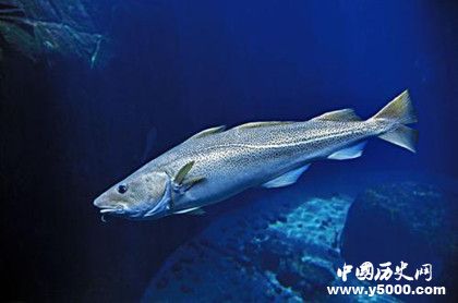 c4c24a81c602a2b2e85f457e02d32e3b.jpg c4c24a81c602a2b2e85f457e02d32e3b.jpg