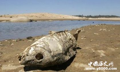 強(qiáng)厄爾尼諾為什么增多厄爾尼諾現(xiàn)象形成原因有哪些危害 強(qiáng)厄爾尼諾為什么增多厄爾尼諾現(xiàn)象形成原因有哪些危害