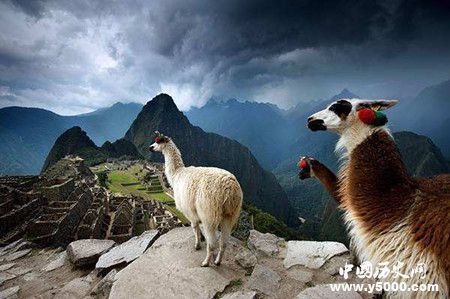 cae26429dd224b79bf435b86dfd0500b.jpg cae26429dd224b79bf435b86dfd0500b.jpg