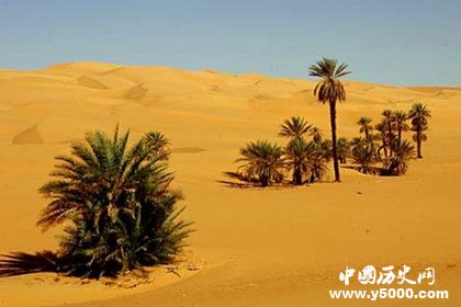 隆美爾財寶之謎:隆美爾財寶在哪里為什么消失了 隆美爾財寶之謎:隆美爾財寶在哪里為什么消失了