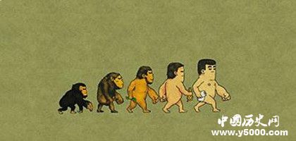 人類是如何形成的？形成人類的基礎(chǔ)條件有哪些？