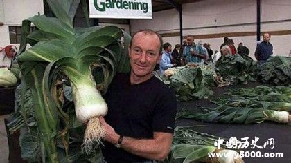 巨菜谷在什么地方巨菜谷有什么不一樣的地方嗎 巨菜谷在什么地方巨菜谷有什么不一樣的地方嗎