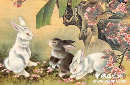 生肖兔簡介生肖兔是怎么來的生肖兔性格特點(diǎn)介紹
