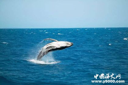 d5284790f07c2467a5e9277dc6afbf20.jpg d5284790f07c2467a5e9277dc6afbf20.jpg