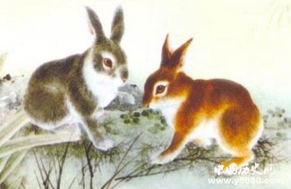 屬兔的人在2019年運勢怎么樣屬兔的人幸運物是什么