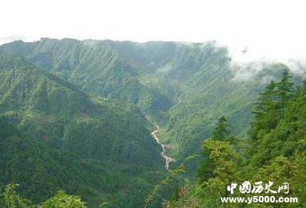 世界森林日資料簡(jiǎn)介世界森林日活動(dòng)主題有哪些？