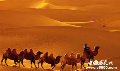 隆美爾財(cái)寶之謎:隆美爾財(cái)寶在哪里為什么消失了 隆美爾財(cái)寶之謎:隆美爾財(cái)寶在哪里為什么消失了