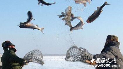 查干湖冬捕頭魚價格多少查干湖冬捕簡介歷史發(fā)展過程介紹