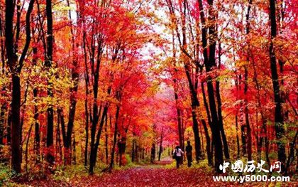 吉林省簡介吉林省歷史發(fā)展過程介紹吉林省氣候環(huán)境介紹