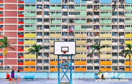 2019蘋果攝影大賽公布蘋果攝影大賽發(fā)展歷史報名標(biāo)準(zhǔn)簡介