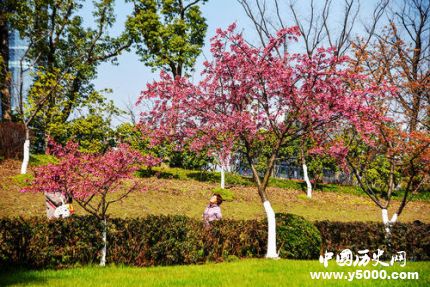 四川一高校放春假高校春假是什么意思？