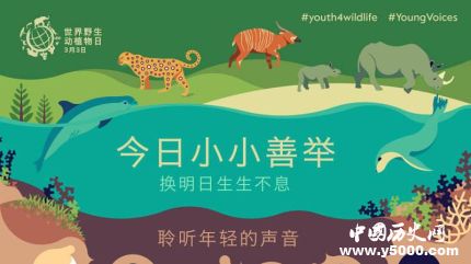 世界野生動植物日簡介世界野生動植物日主題活動有哪些？