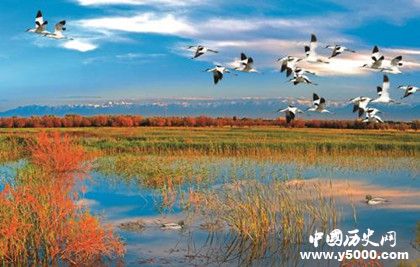 黑河市簡介黑河市地理位置氣候環(huán)境介紹旅游景點旅游攻略