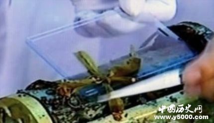 太山龍泉寺金棺出土十多牛為何不打開？?jī)H因?yàn)橐粋€(gè)蝴蝶結(jié)