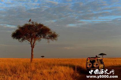 人類發(fā)源地之謎：東非是人類的發(fā)源地嗎？