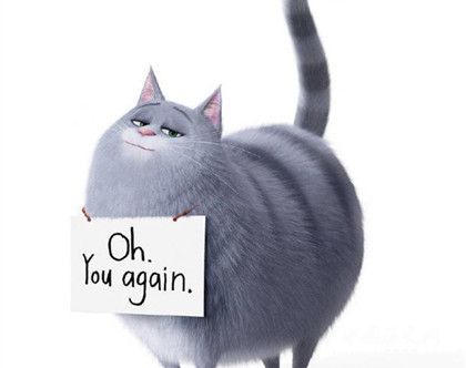 愛寵大機(jī)密2劇情故事介紹什么時候上映愛寵大機(jī)密觀后感