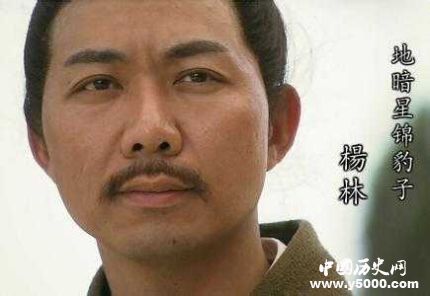 楊林生平簡介楊林的故事楊林的結(jié)局如何？