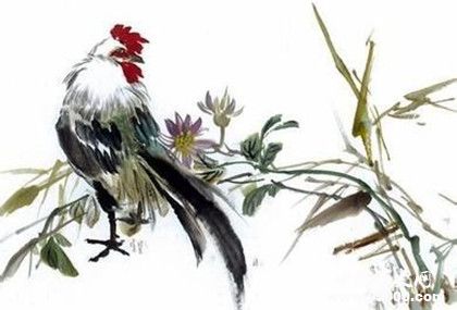 屬雞的人2019年運(yùn)勢怎么樣屬雞的幸運(yùn)物是什么 屬雞的人2019年運(yùn)勢怎么樣屬雞的幸運(yùn)物是什么