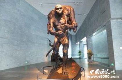 北京人化石失蹤謎案:北京人化石為什么失蹤了 北京人化石失蹤謎案:北京人化石為什么失蹤了