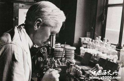 弗萊明生平故事簡介弗萊明是怎樣發(fā)現(xiàn)青霉素的？