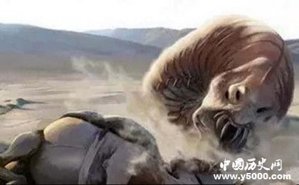 死亡之蟲的秘密：死亡之蟲真的存在嗎