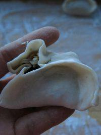 蘿卜素餡蒸餃的做法步驟14