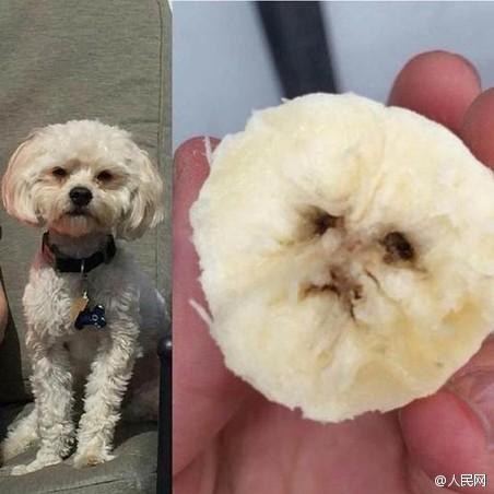 然后其他網(wǎng)友也開(kāi)始跟著曬圖。