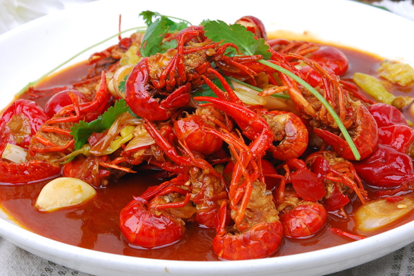 jiachangxiaolongxiadezuofa