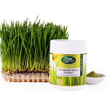 有機(jī)小麥草粉 有機(jī)小麥草粉的作用 有機(jī)小麥草粉怎么吃 小麥草粉哪個(gè)牌子好