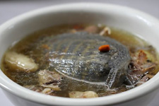 甲魚怎么做好吃