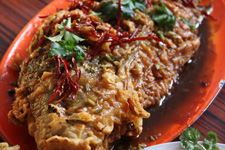 紅燒鯉魚(yú)的做法介紹