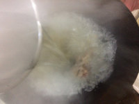 蘿卜絲泥猛魚(yú)湯的做法步驟4