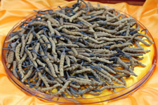 冬蟲夏草怎么吃最好