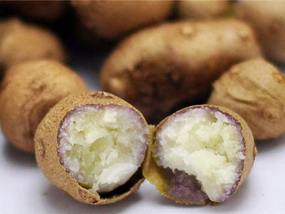 發(fā)芽的山藥豆能吃嗎，山藥豆怎么長期保存