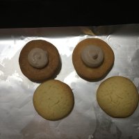 提拉米蘇小餅干的做法步驟16