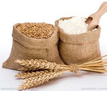 小麥的營(yíng)養(yǎng)價(jià)值 小麥的做法大全 孕婦可以吃小麥嗎