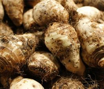 荔浦芋頭的營養(yǎng)價值 荔浦芋頭的做法 荔浦芋頭的功效